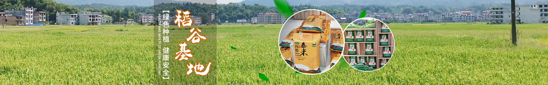 湖南泓天現(xiàn)代農(nóng)業(yè)發(fā)展有限公司